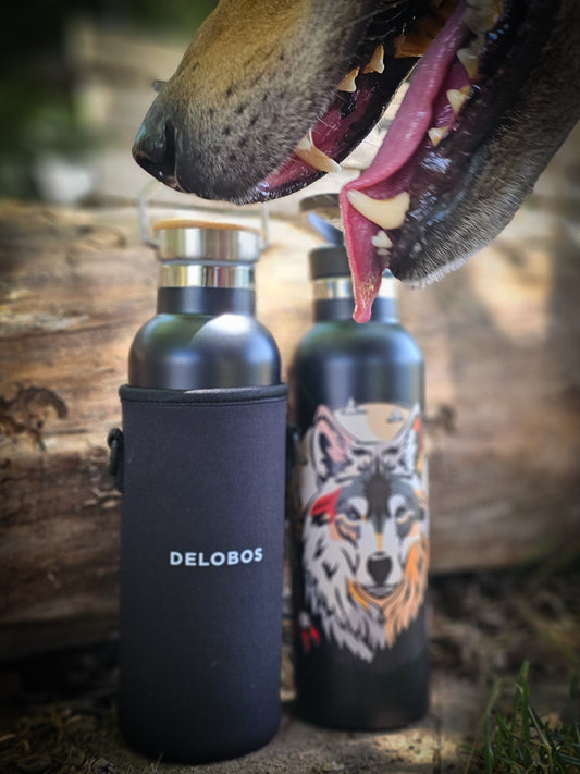 Botella Térmica 700 ml. (Incluye funda y dos tapones)